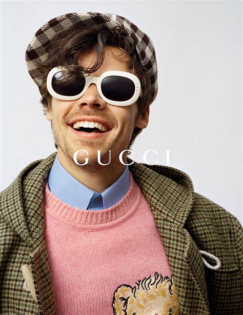 haria momo gucci|harry gucci.